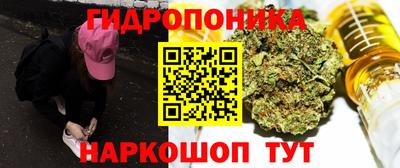молекула духа Новодвинск