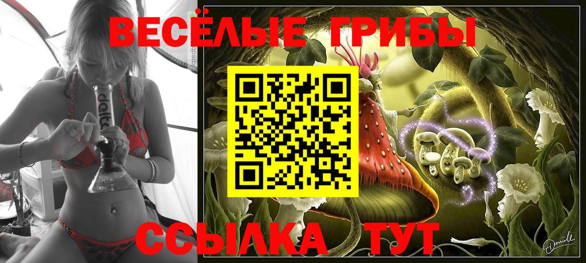 Рубцовск  Псилоцибиновые грибы Psilocybe  Вход с VPN 